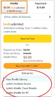 Screenshot of kindle book with a drop down menu with options of what device to send your ebook to.